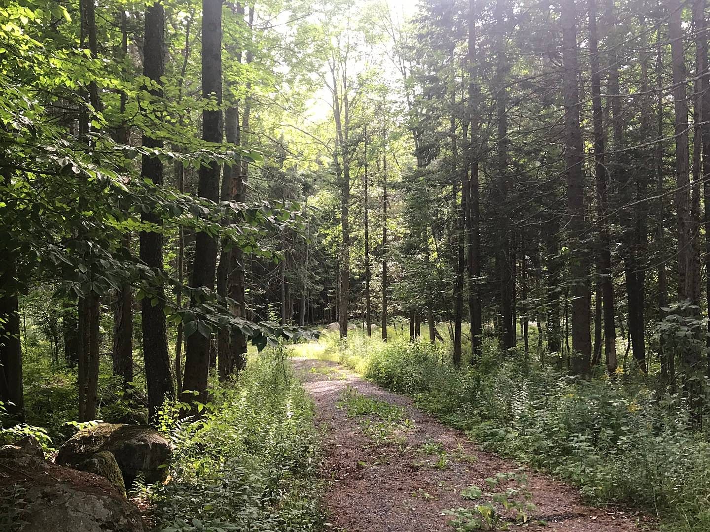 114 Stanyon Park Dr, Speculator, NY 12164 Zillow