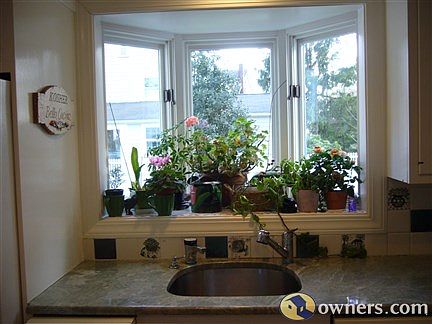 Kitchen window faces south and yard