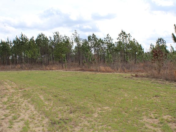 3rd image of Ronnie Rd