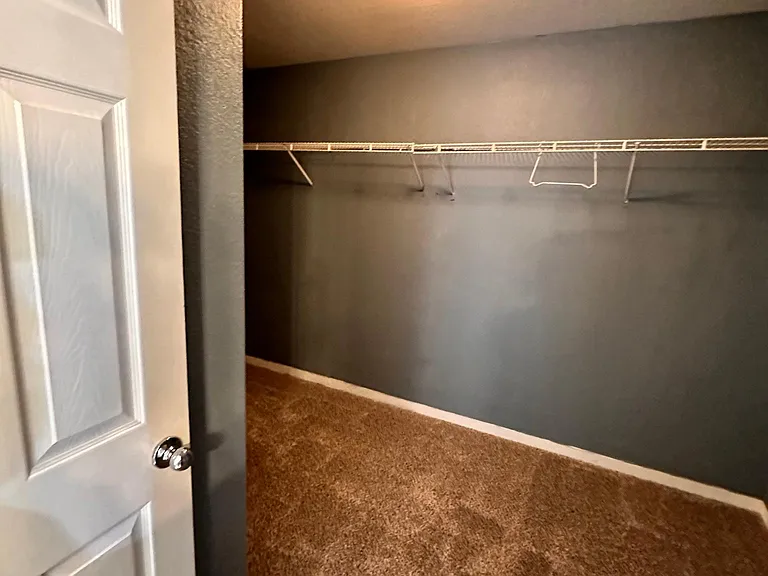 Master Closet