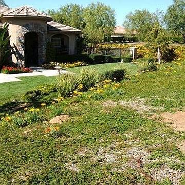 1st image of 13371 Sage Meadow Ln