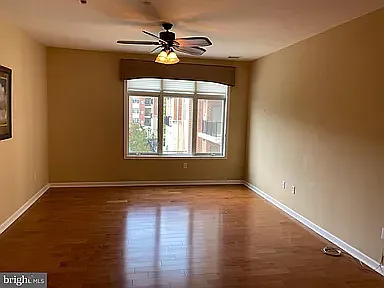 307 Carson Ter — Photo 12