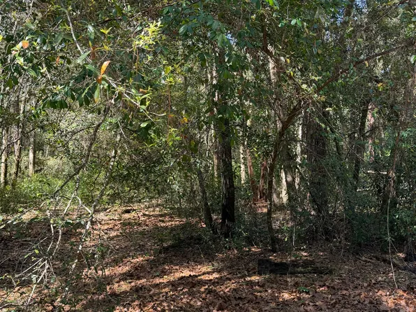 85th Ln, Branford, FL 32008