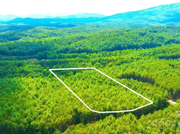 2422 Ivy Rays Way, Nebo, NC 28761