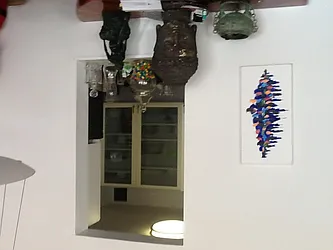 Rented by Susan D. Fine