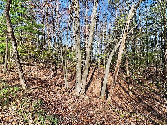 4th image of LOT 11 N Silver Ridge Rd