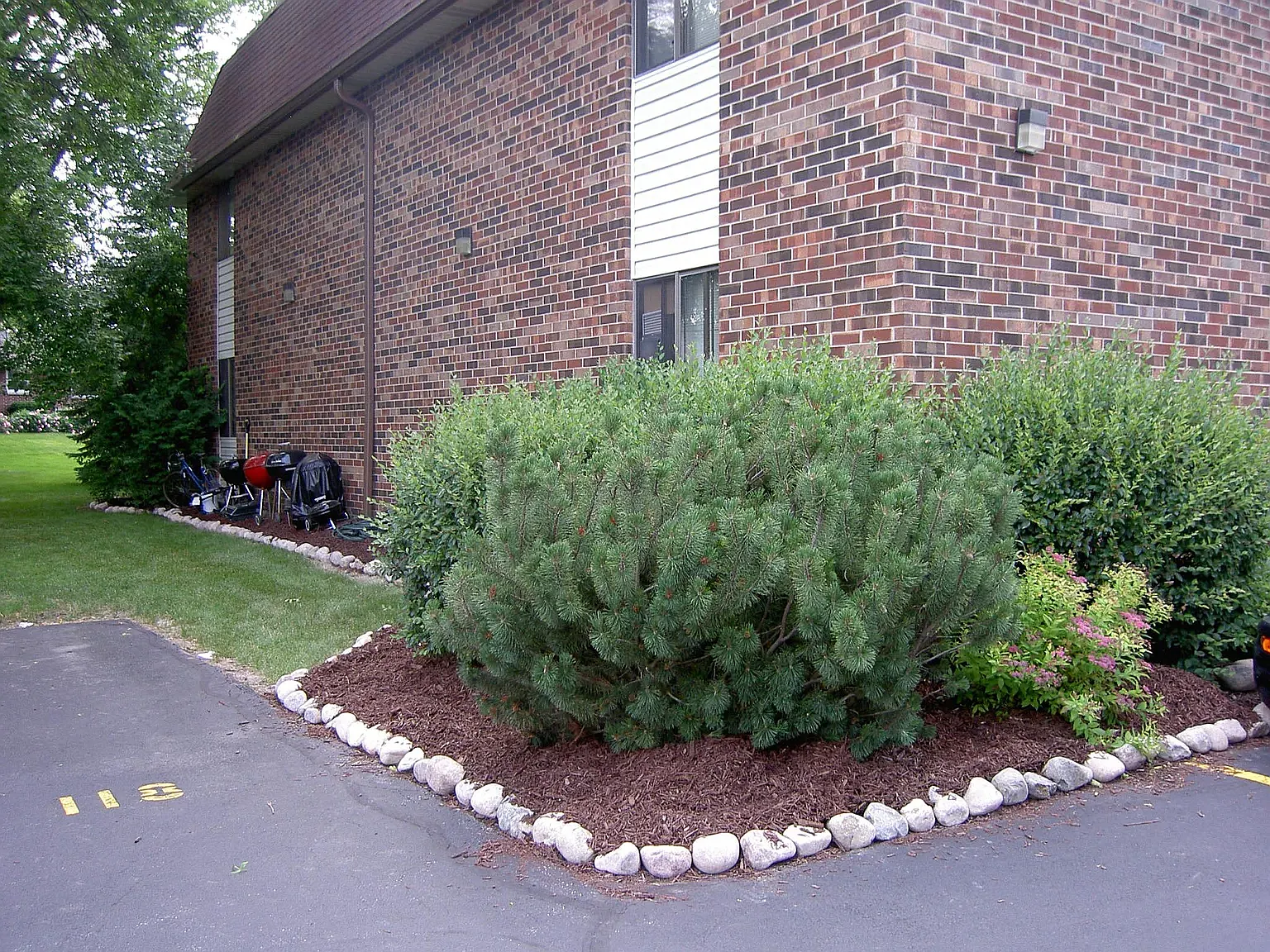 Old Orchard — Photo 2