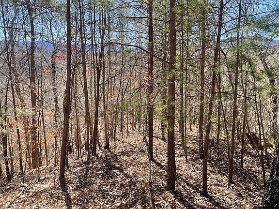 2nd image of 58-1 Fontana Lake Dr