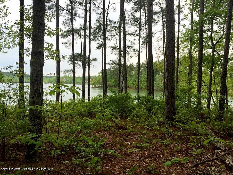 2nd image of Still Water Ln