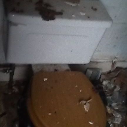 4th image of 209 Halyday St
