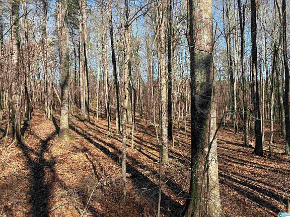 2nd image of 27/ACRE S County Road 71 #1
