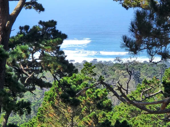 250 Forest Ridge Rd Unit 52, Monterey, CA 93940