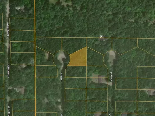 6824 Maple Ct, Stanwood, MI 49346