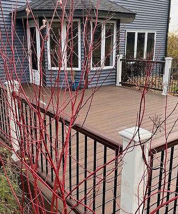 4th image of 2521 Williams Dr