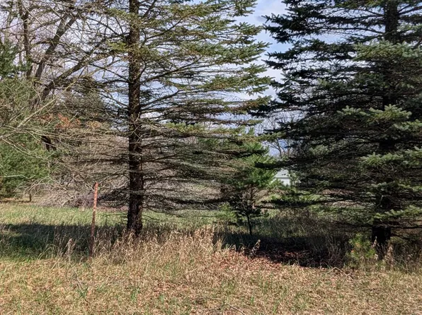 1005 Kent St, Lake Isabella, MI 48893