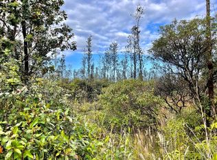 Ooaa Road Rd #6-LOT 4316, Mountain View, HI 96771