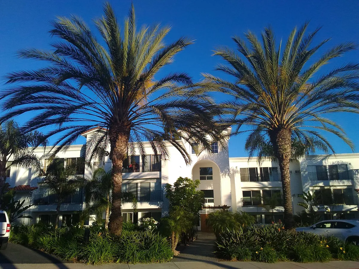 Building Photo - 2005 Costa Del Mar Rd #630