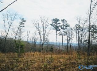 36 Brow Rd, Boaz, AL 35956