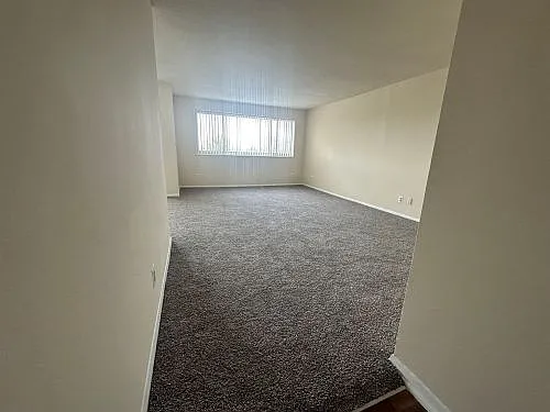 9727 Mount Pisgah Rd — Photo 17