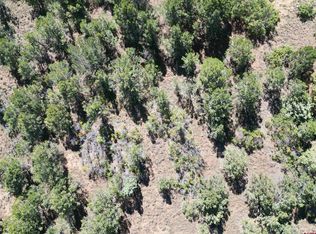 LOT 16 Cottontail Ln, Ridgway, CO 81432