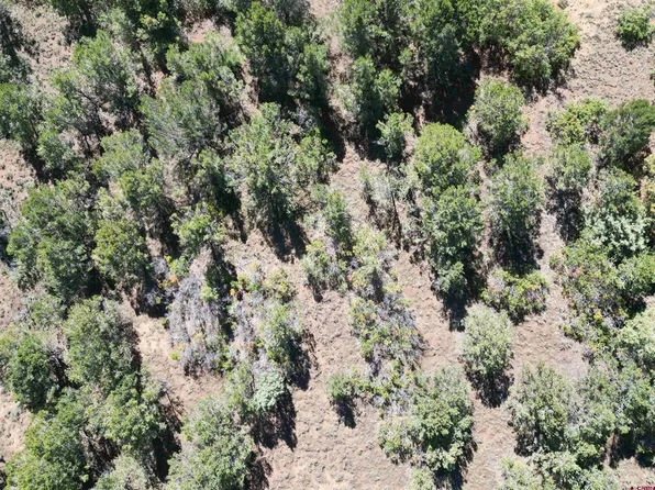 LOT 16 COTTONTAIL Lane, Ridgway, CO 81432