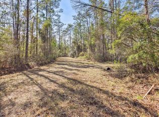 LOT 81 SW Oregon Trl, Greenville, FL 32331