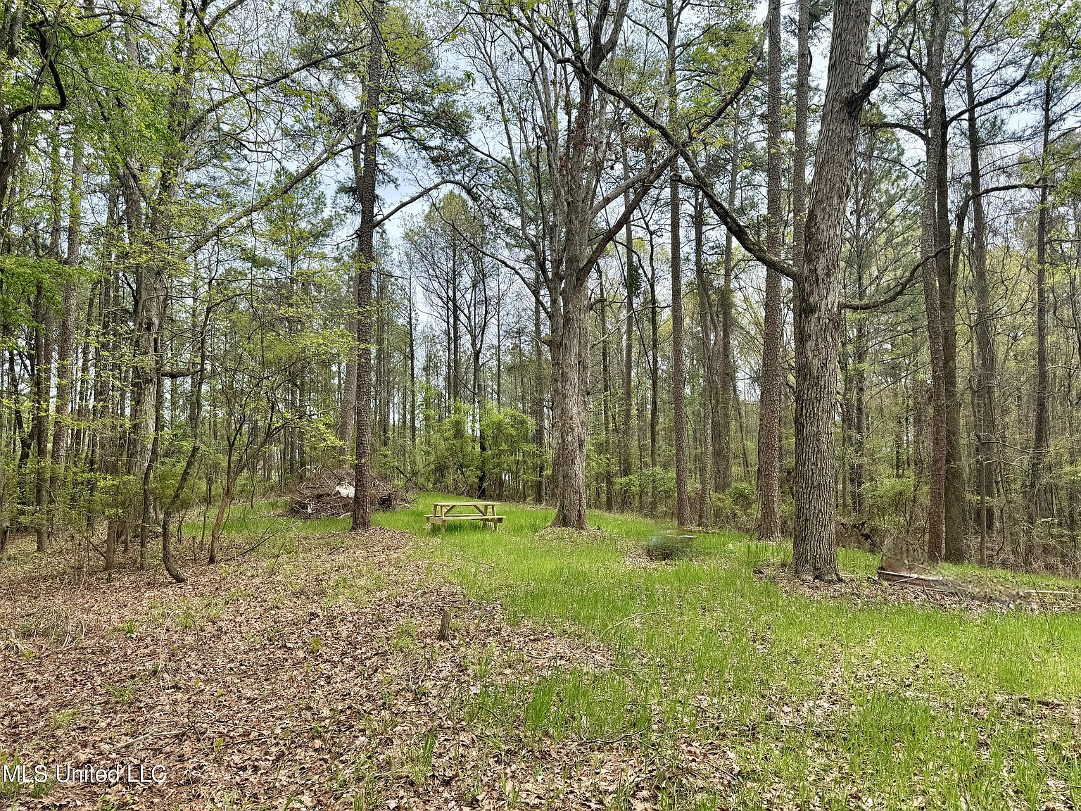 3753 Highway 471, Brandon, MS 39047 Zillow