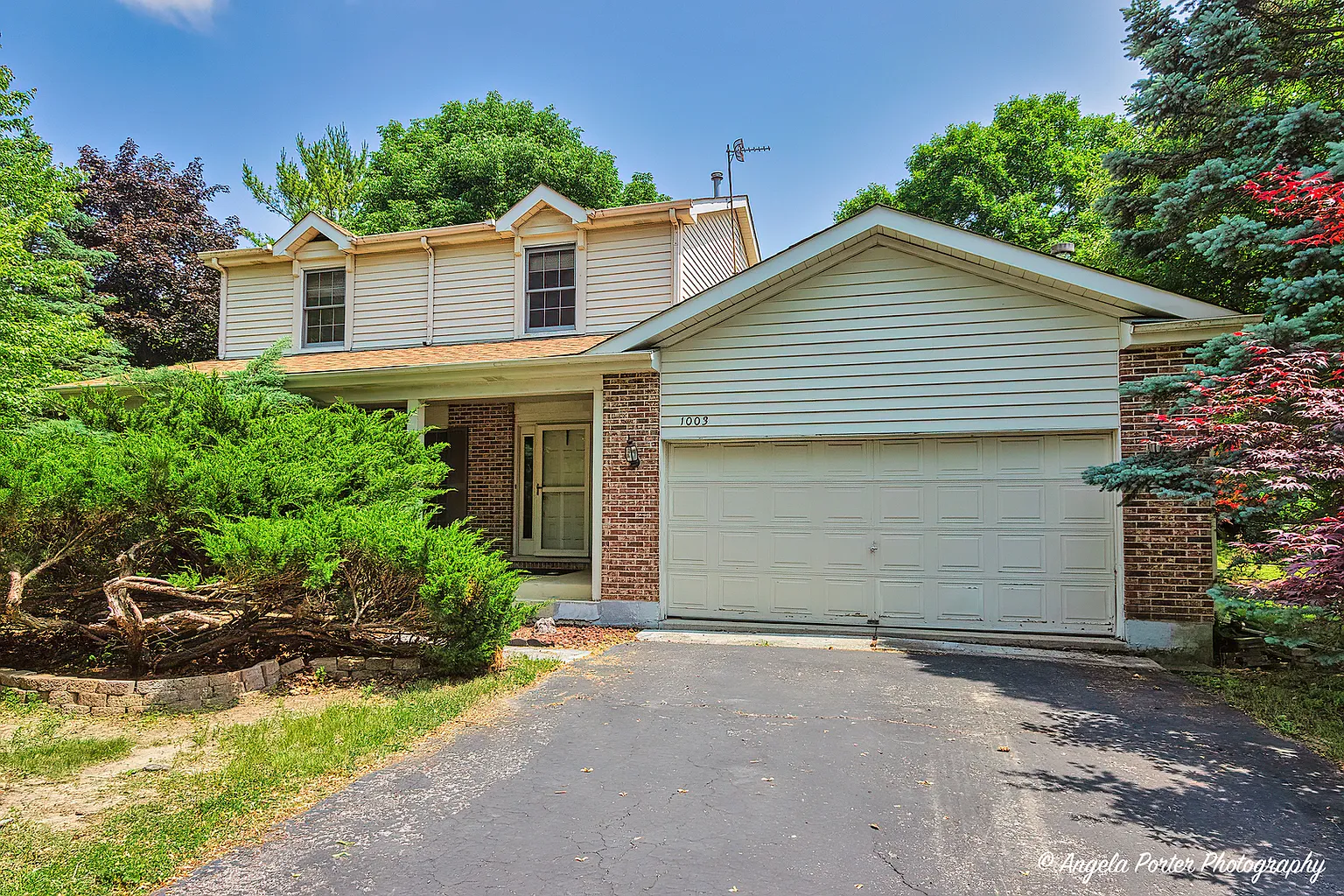1003 White Pine Dr photo 1