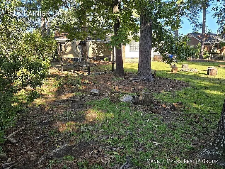 316 Rainier Dr — Photo 43