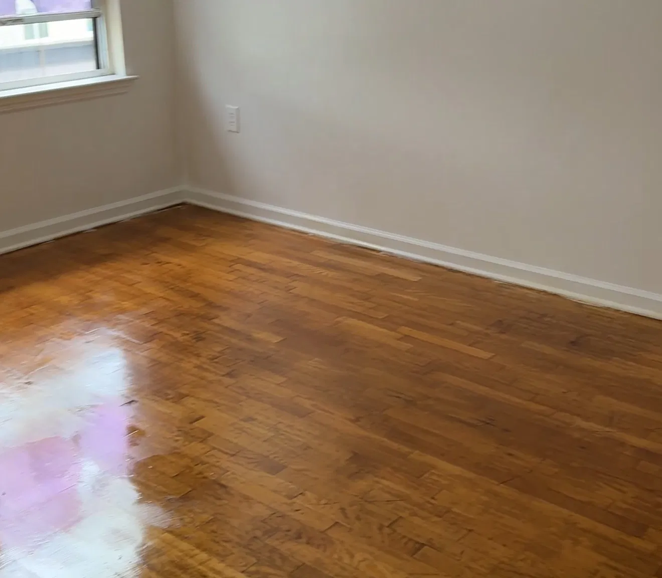 1 bed, $1,000 — Photo 1