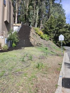 2598 Scout Rd, Oakland, CA, 94611