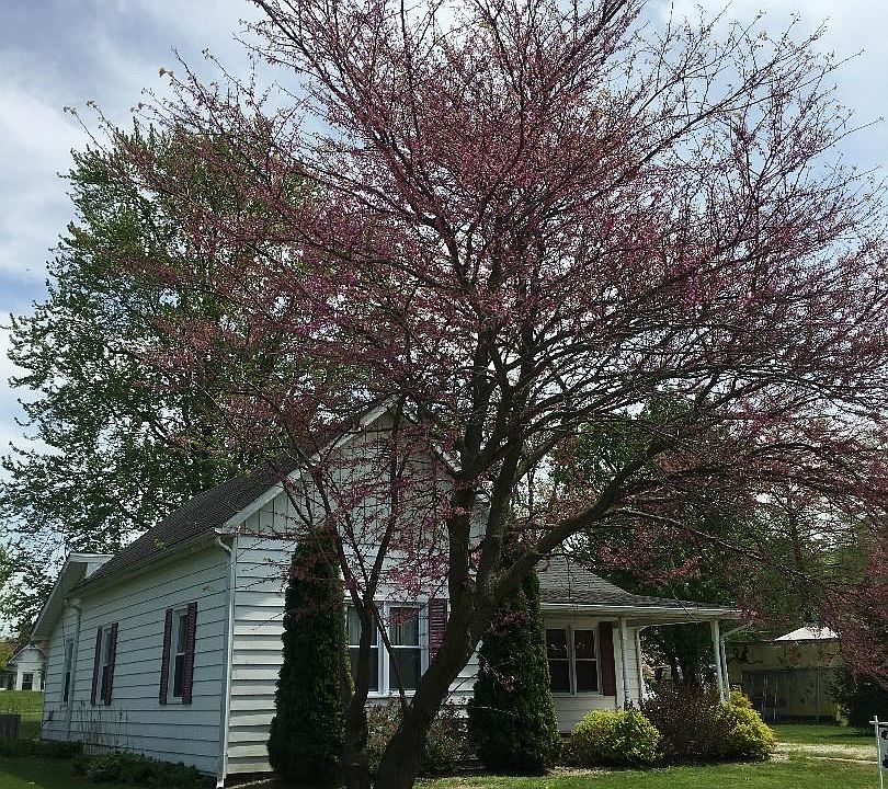 1st image of 109 S Dayton St