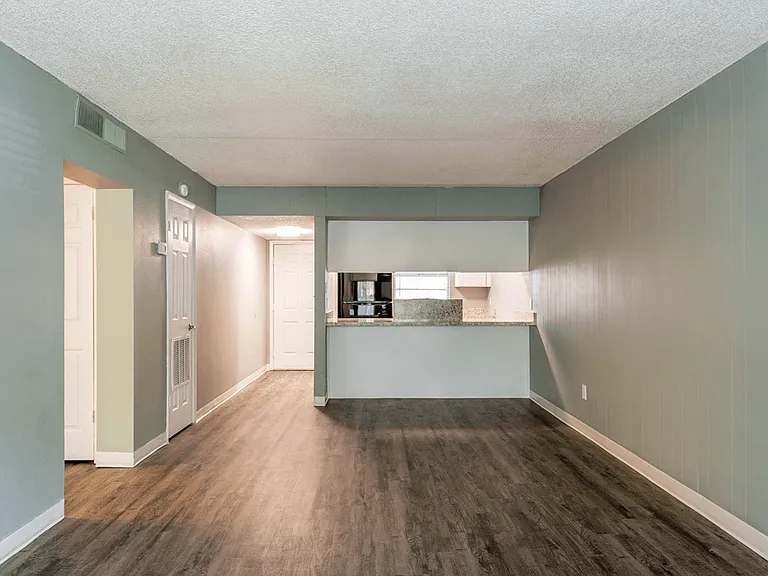 Living and Kitchen Area