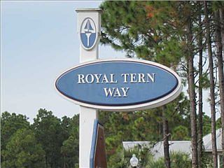 3rd image of 168 Royal Tern Way