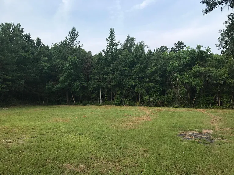 New Jesup Hwy — Photo 4
