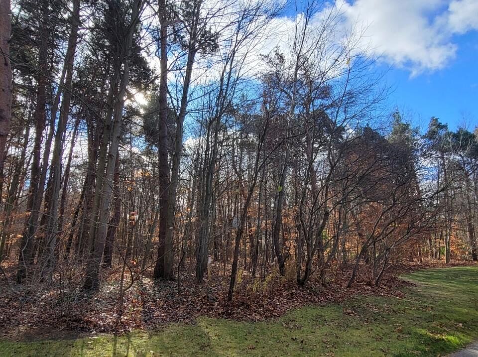 1st image of 2691 Deep Forest Way #28