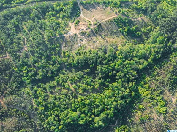 18805 County Road 16 #33.07, Plantersville, AL 36758