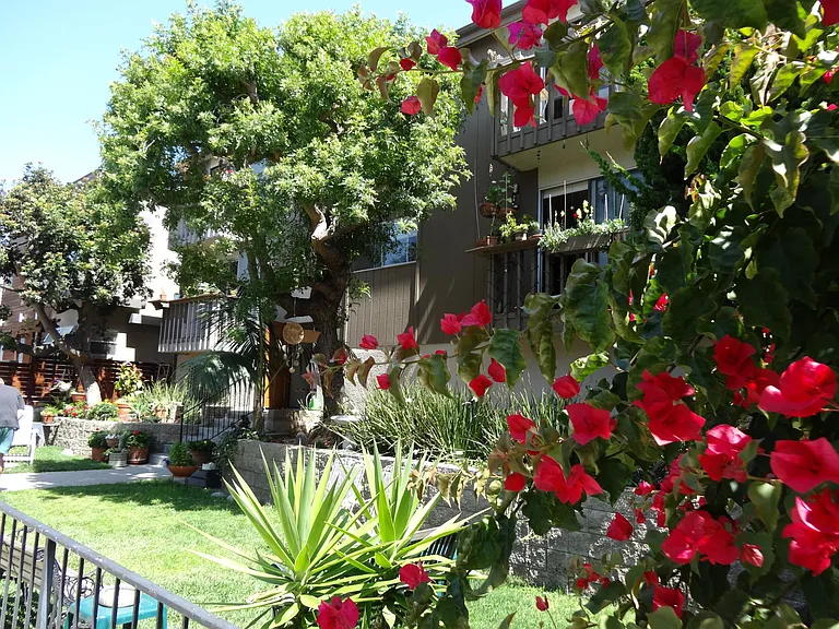 48 Paloma Ave #5 — Photo 1