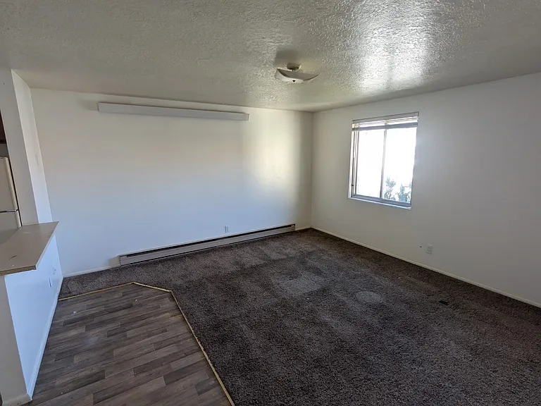 486 Whittier St — Photo 2