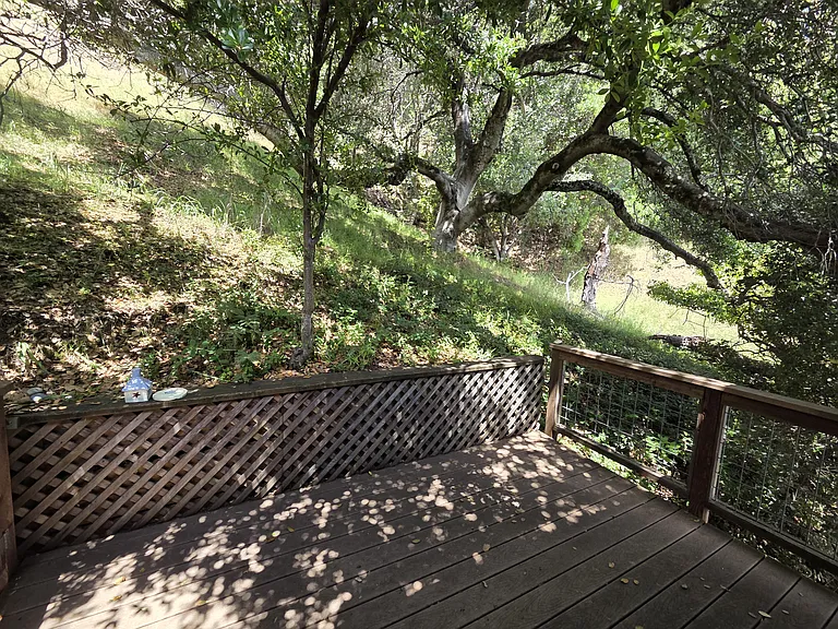 Back Deck