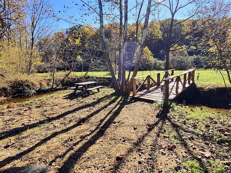 Dutch Creek Ln — Photo 15