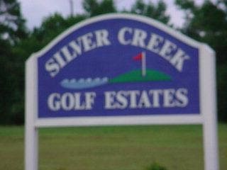 2nd image of 217 MULLIGAN LOT 9