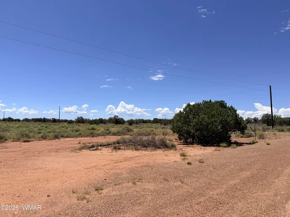 020P N White Antelope Rd, Snowflake, AZ 85937