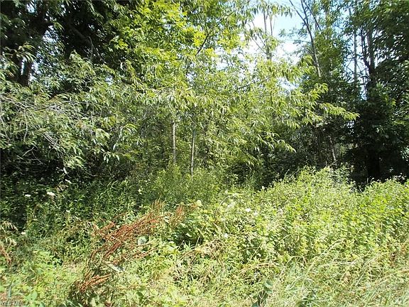 3rd image of Windsor Dr