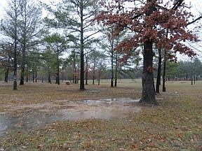 2nd image of 14563 Highway 80 E