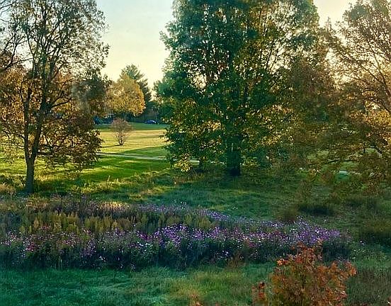 Kirklevington Park view
