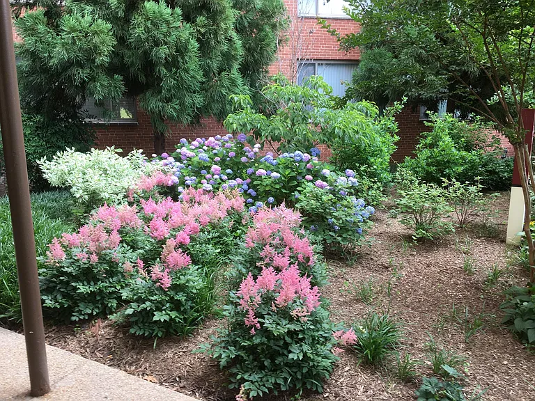 Main entrance landscaped