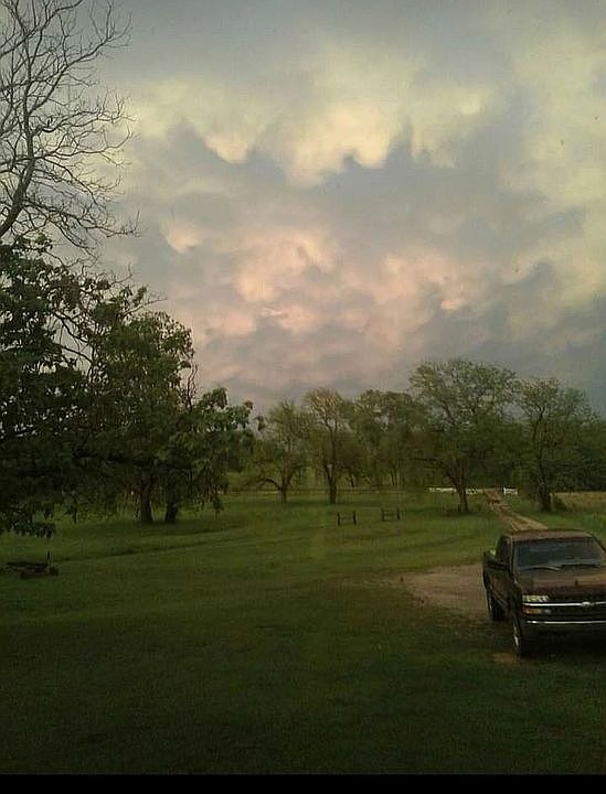 View from Kitchen window