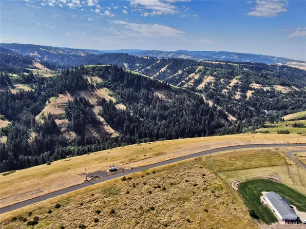 3600 Seaman Road, Waitsburg, WA 99361