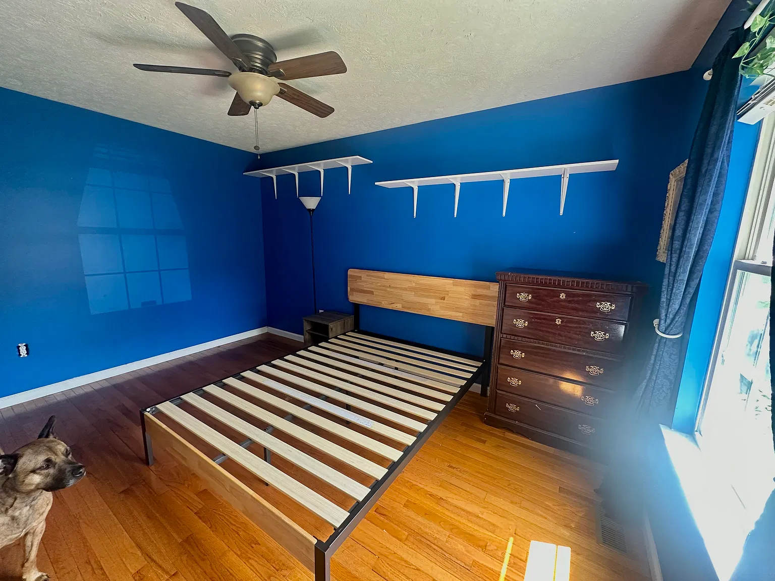 1 bed, 1.5 bath, 2560 sqft, $875 — Photo 3